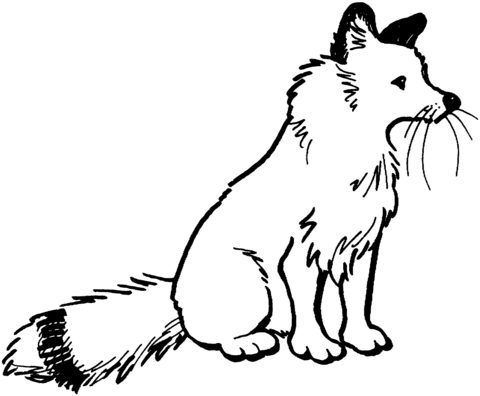 Red Fox Sit Coloring Page